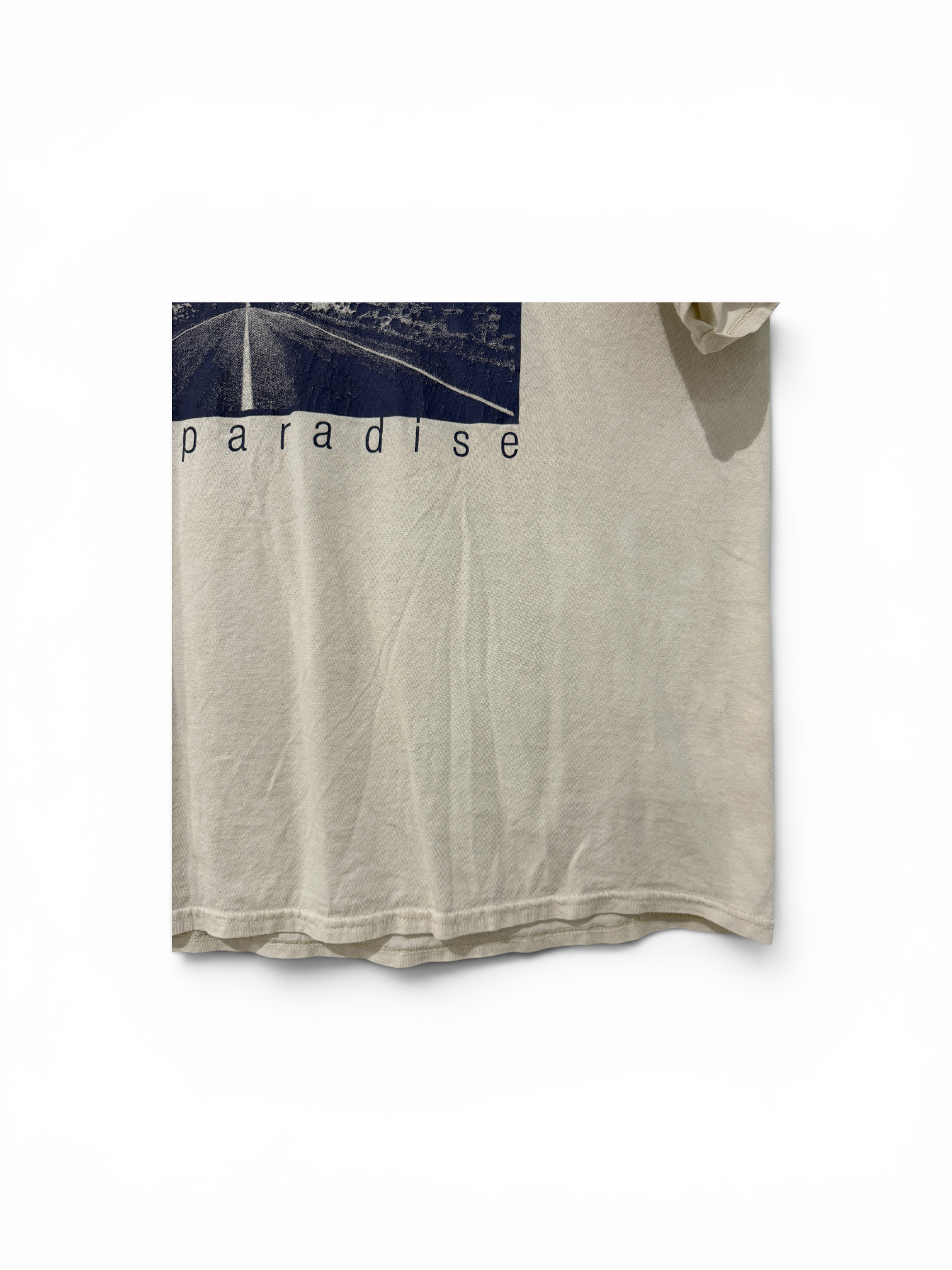 Have Heart "Paved Paradise" Shirt (2010's)